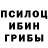 Псилоцибиновые грибы Psilocybine cubensis marid