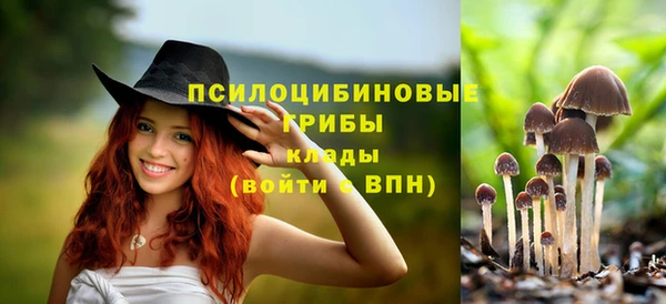 гидропоника Лихославль