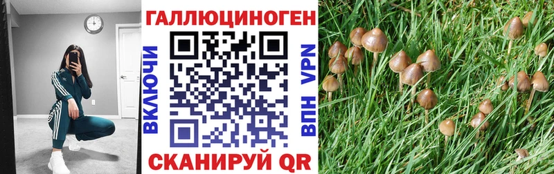Псилоцибиновые грибы мицелий  Уяр 